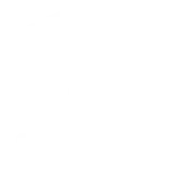 Royal Interior Logo